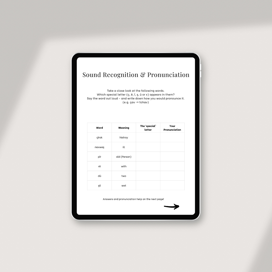 Kurmancî: Volume 1 – Your First Steps (ENG)