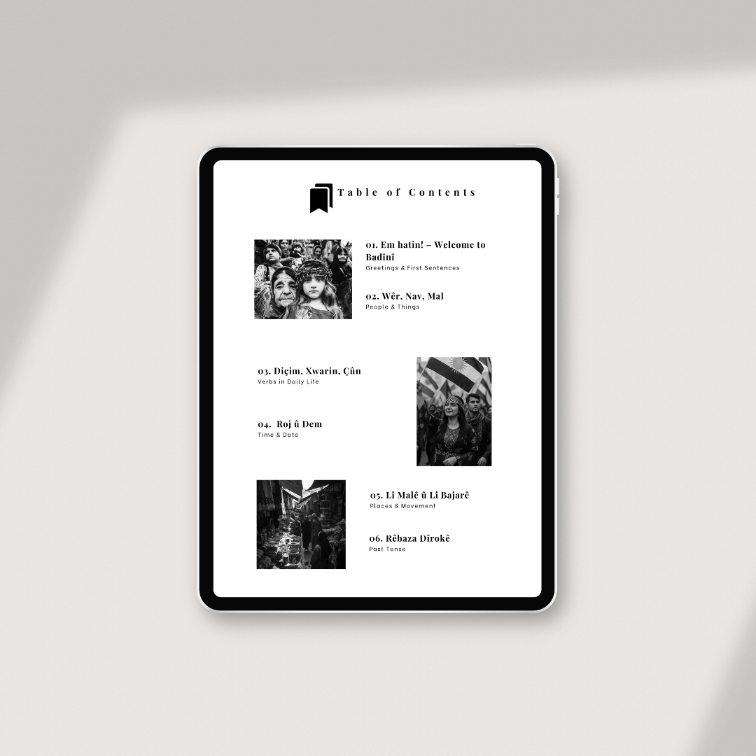 Badini: Volume 1 – Your First Steps