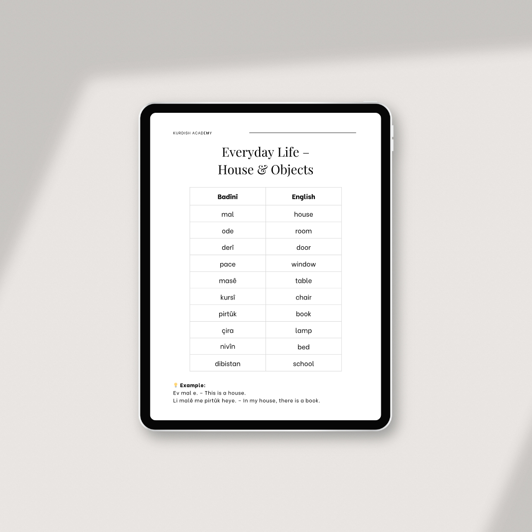 Badini: Volume 1 – Your First Steps