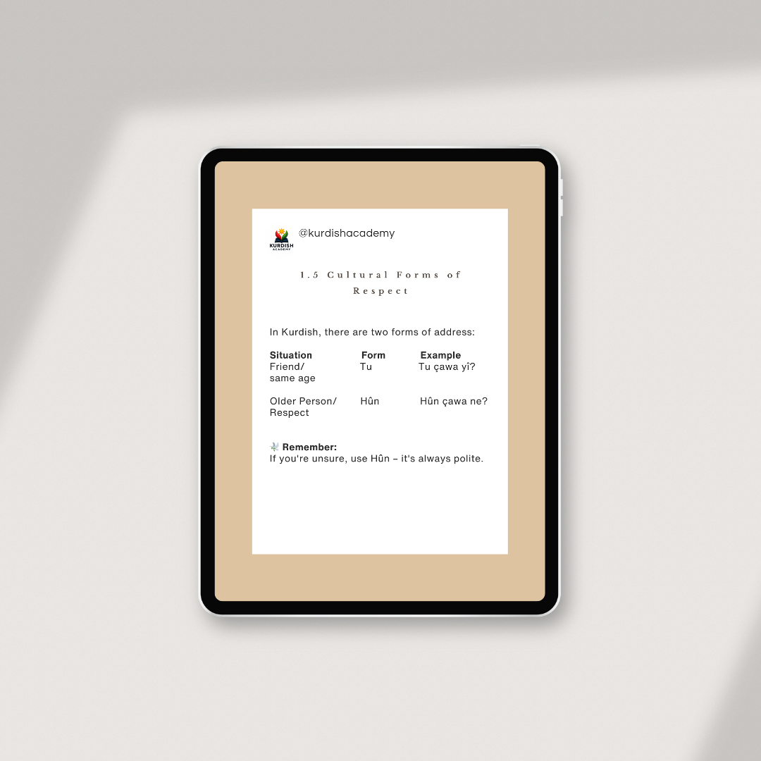 Badini: Volume 1 – Your First Steps