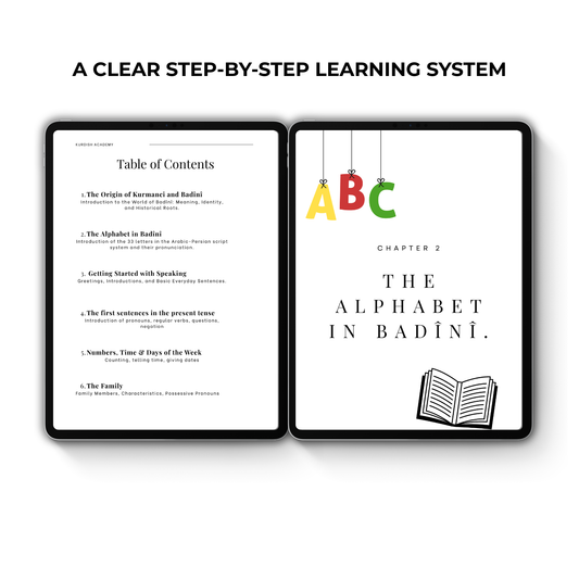 Badini A1 – Your First Steps