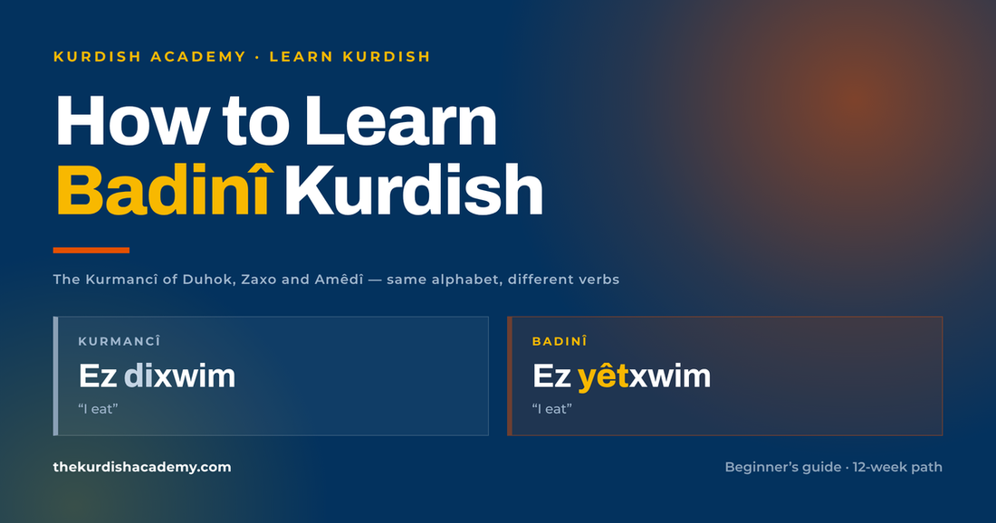The words Ez dixwim in Kurmancî and Ez yêtxwim in Badinî side by side on a navy background, showing the present tense difference between the two