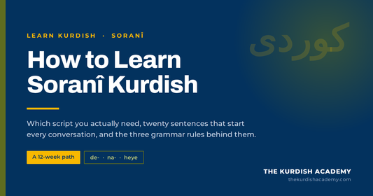 How to learn Soranî Kurdish: which script you need, twenty core sentences and the three grammar rules behind them
