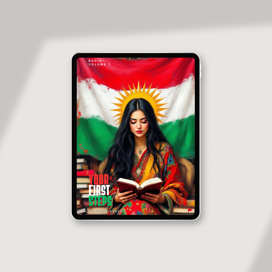 Badini: Volume 1 – Your First Steps