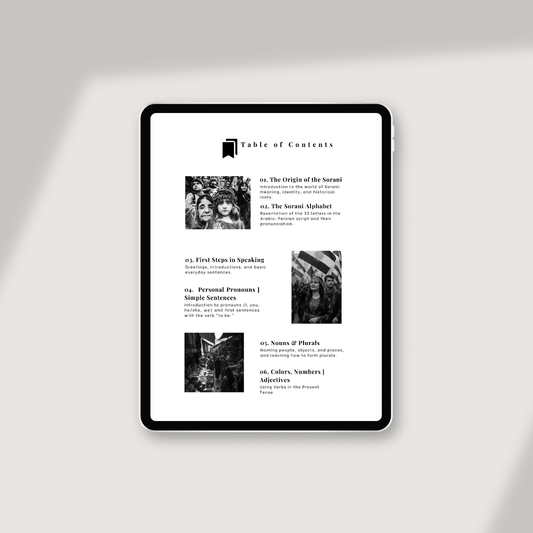 Sorani Complete Bundle - Volume 1 & 2 (ENG)