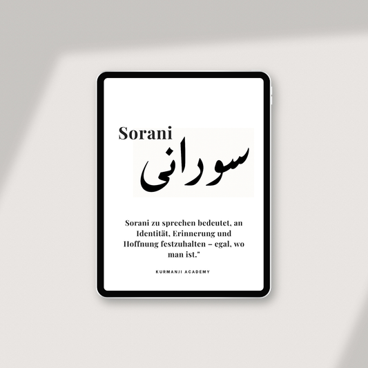 Sorani: Volume 1 – Your First Steps (DE)