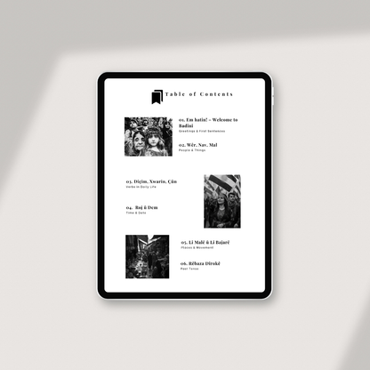 Badini: Volume 1 – Your First Steps