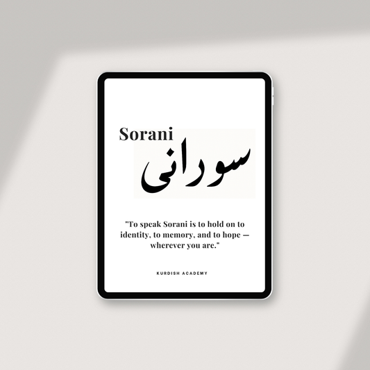 Sorani: Volume 1 – Your First Steps (ENG)
