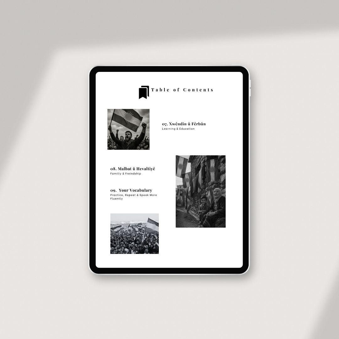 Badini: Volume 1 – Your First Steps