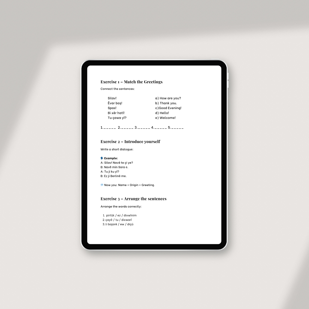 Badini: Volume 1 – Your First Steps