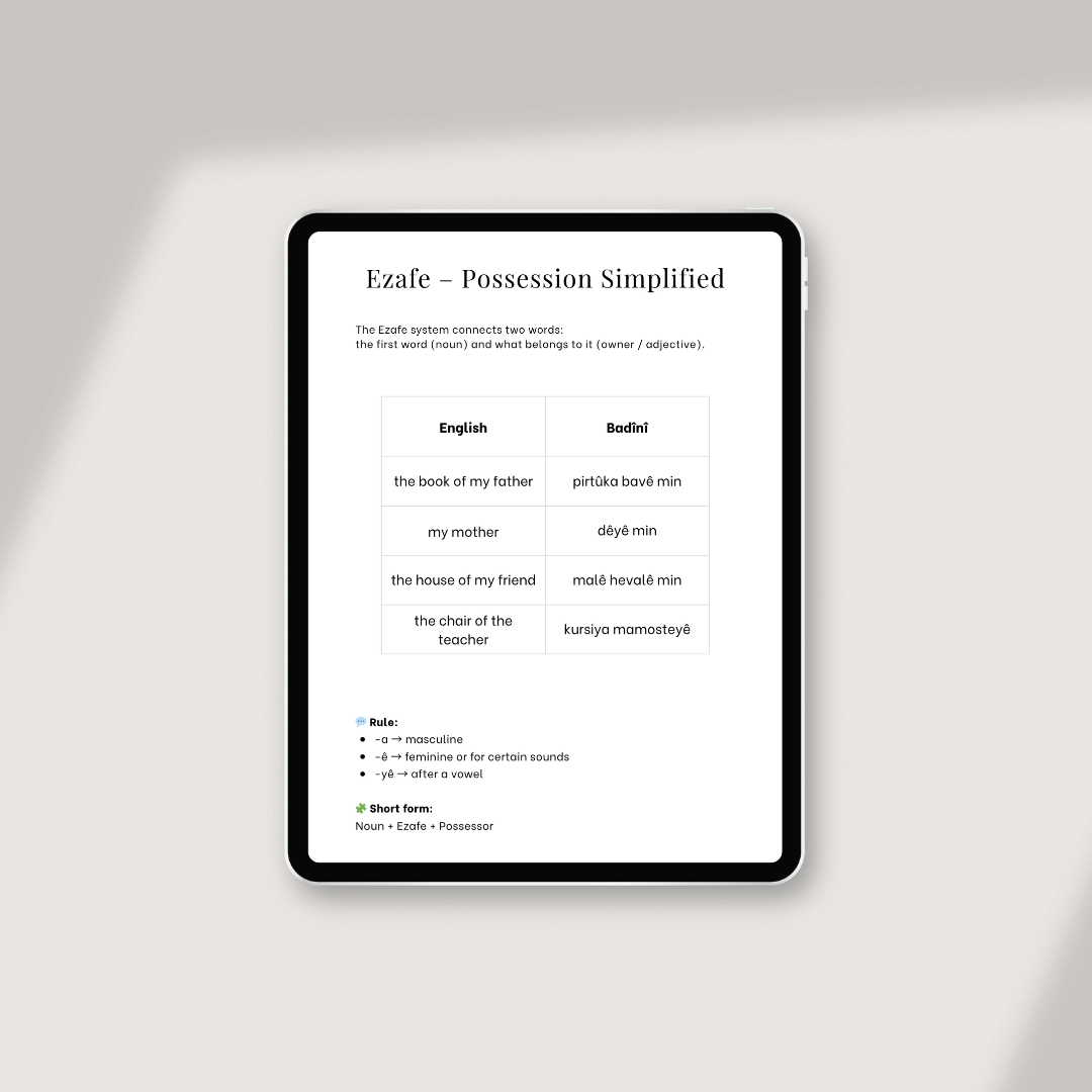 Badini: Volume 1 – Your First Steps