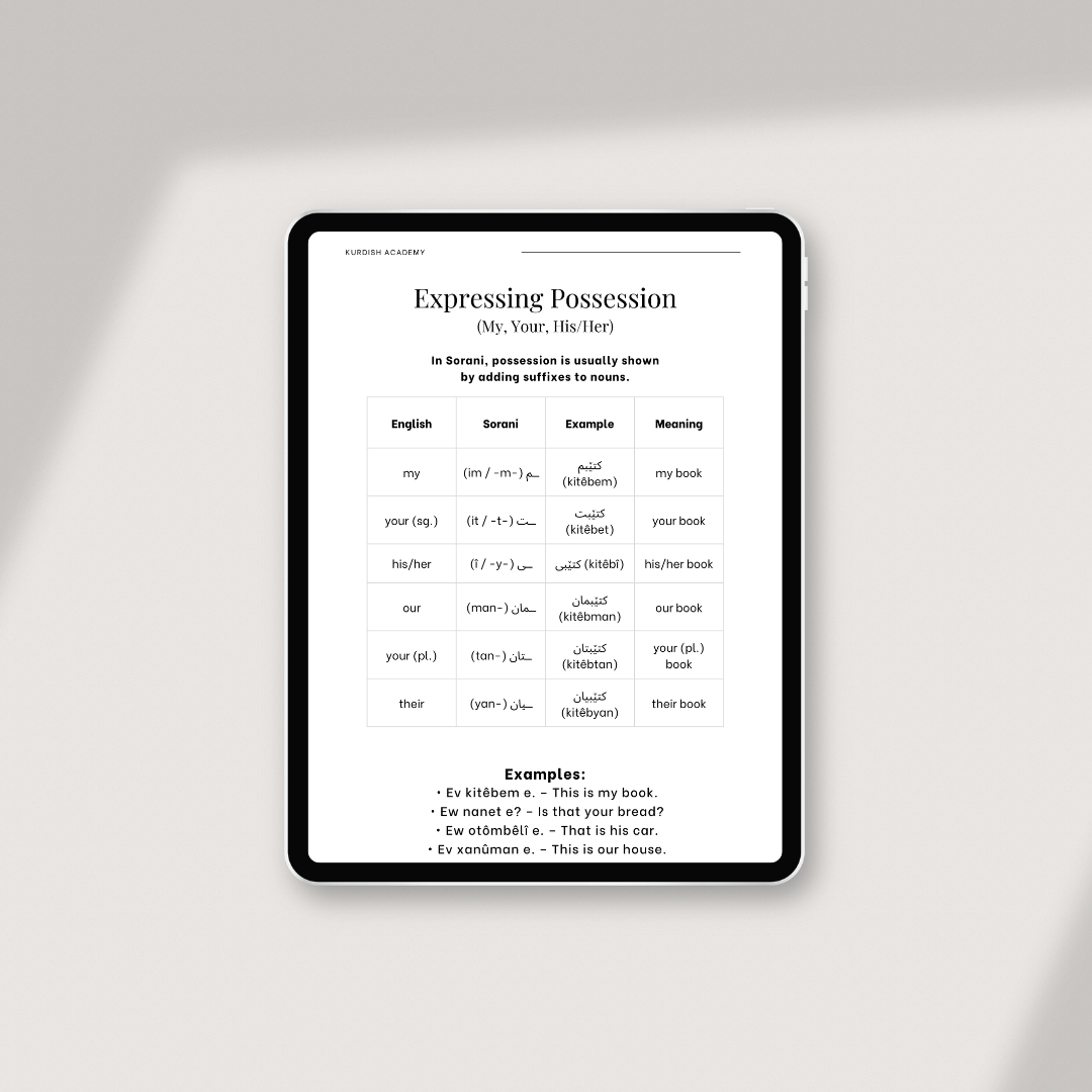 Complete English Bundle – The full Kurdish package