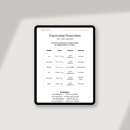 Complete English Bundle – The full Kurdish package