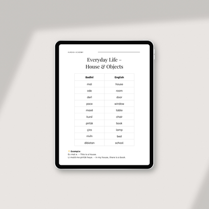 Badini: Volume 1 – Your First Steps