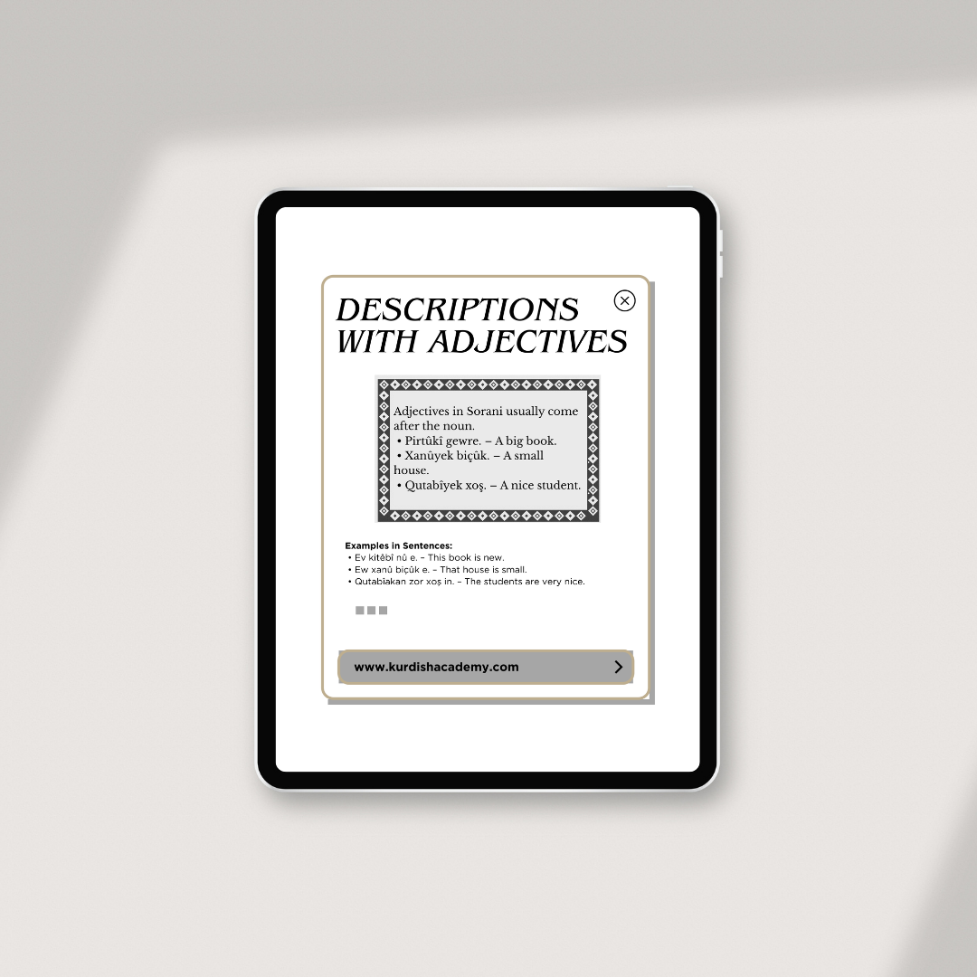 Complete English Bundle – The full Kurdish package