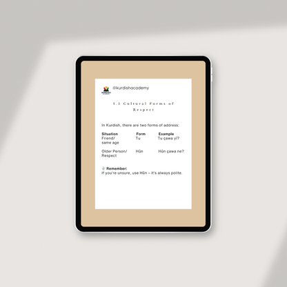 Badini: Volume 1 – Your First Steps