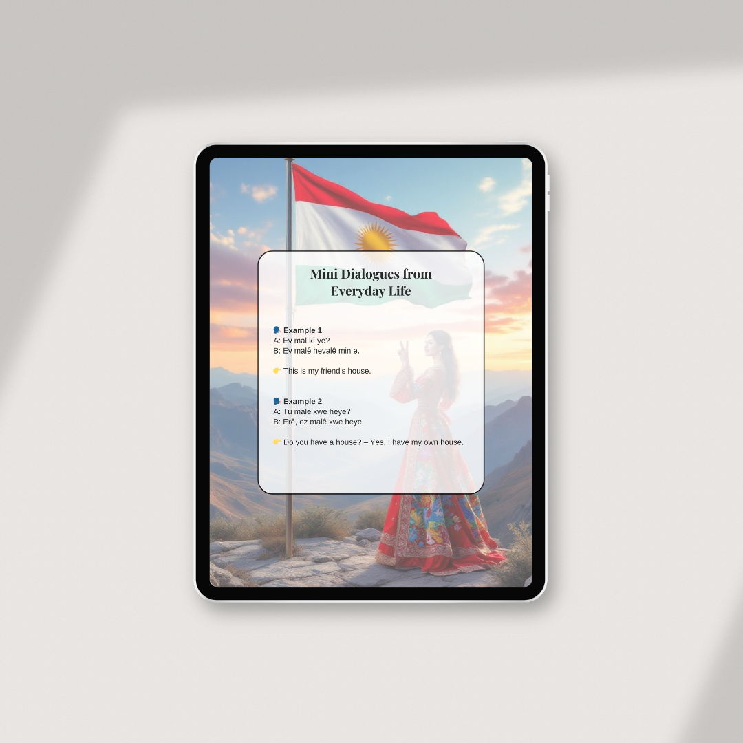 Badini: Volume 1 – Your First Steps