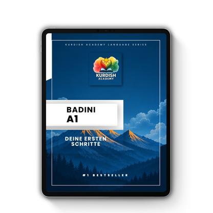 Badini A1 – Your First Steps