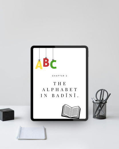 Badini A1 – İlk Adımlarınız