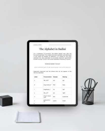 Badini A1 – İlk Adımlarınız