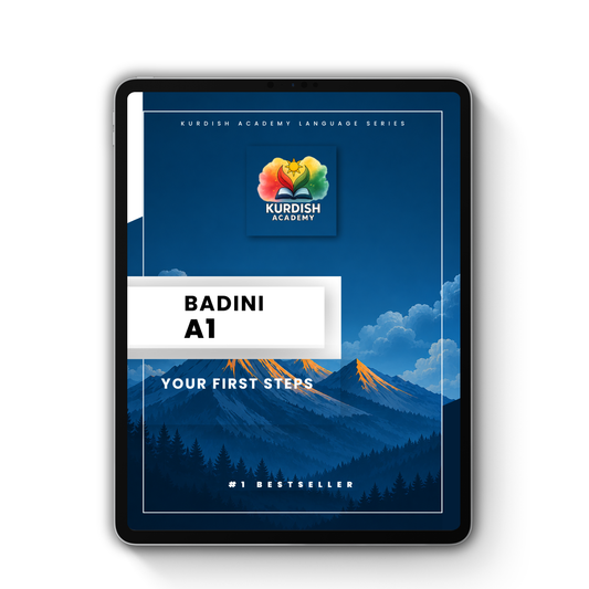 Badini A1 – Your First Steps