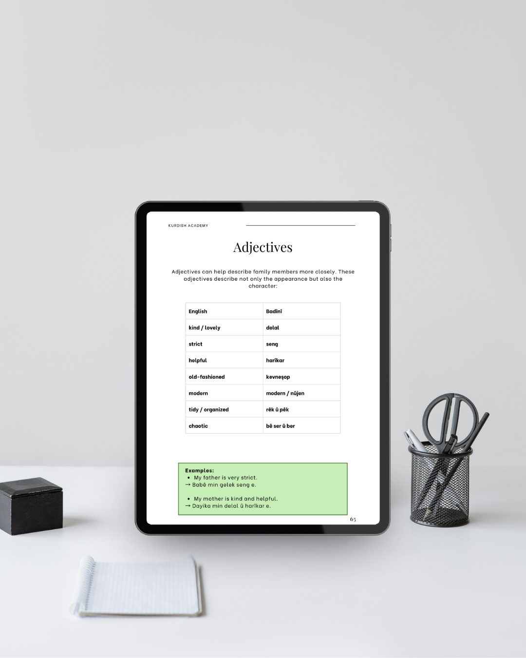 Badini A1 – İlk Adımlarınız