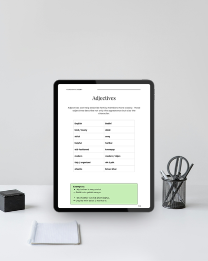 Badini A1 – İlk Adımlarınız