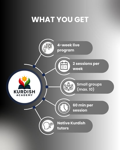 Kurmanji Live Course for Beginners (A1–A2)
