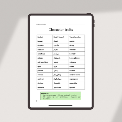 Sorani A2 – Your Next Steps