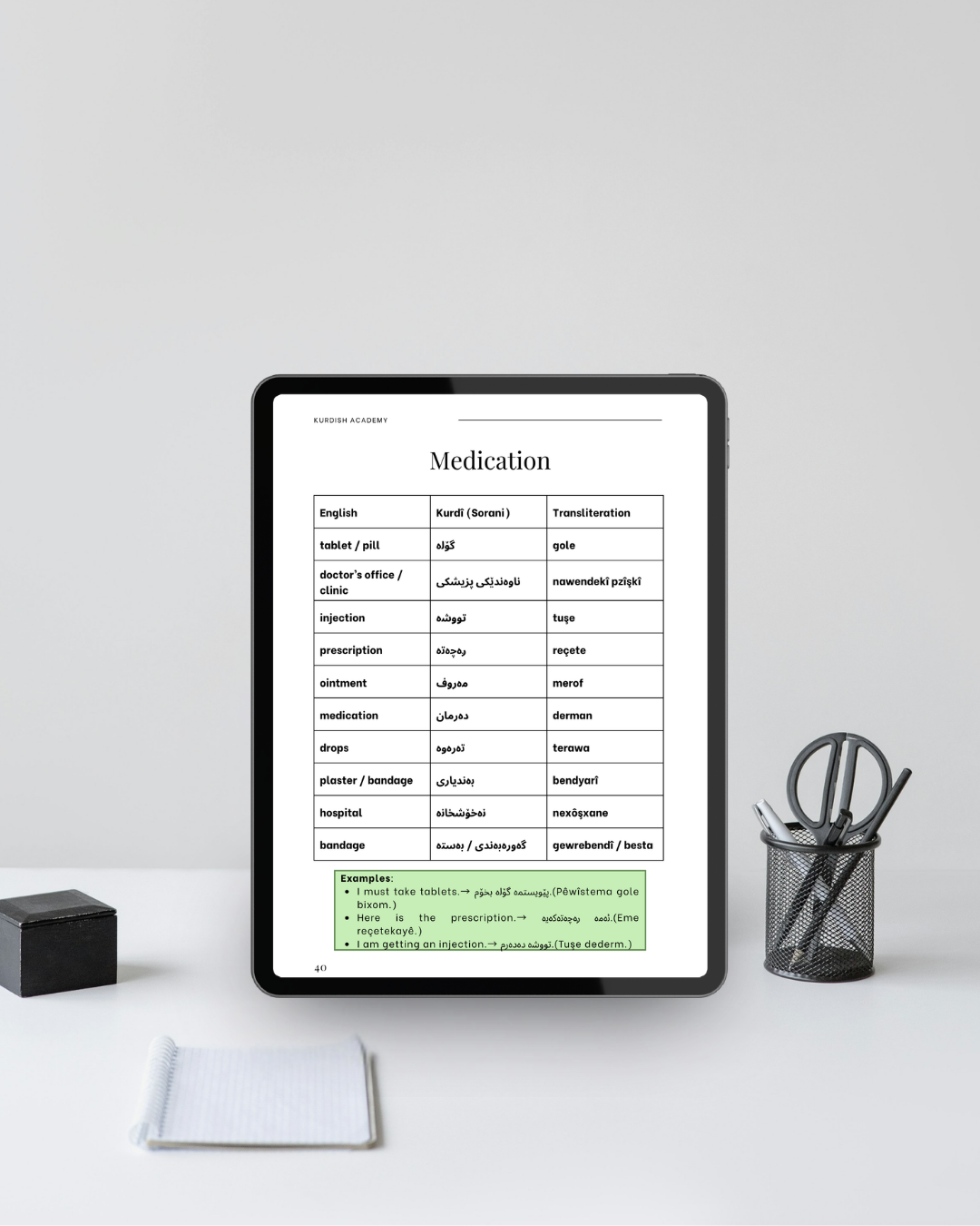 Sorani A2 – Sonraki Adımlarınız
