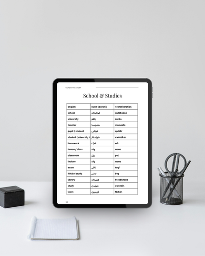 Sorani A2 – Sonraki Adımlarınız