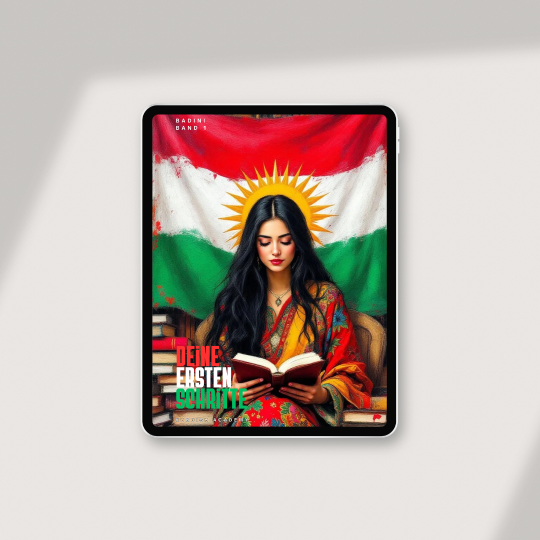 Badini: Volume 1 – Your First Steps